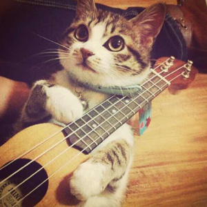 h黄无码高清动漫污在线看
